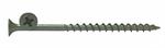 Dacrotized Exterior, Phillips Bugle Head Screw